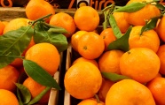 水果摊鲜橘子图片