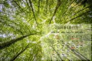 2018年5月日历图片