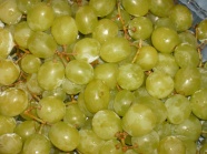 成熟葡萄水果图片
