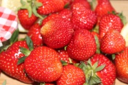 鲜红草莓水果图片