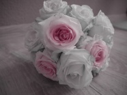 白色手捧玫瑰花束图片
