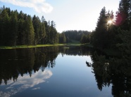 树木湖泊湖水景观图片