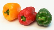 健康青椒蔬菜图片
