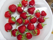 美味草莓水果图片