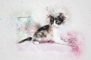 小猫水彩画图片