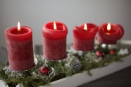 圣诞红蜡烛图片
