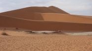 沙漠沙丘荒芜图片