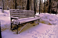 冬季雪地座椅积雪图片