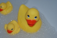 小黄鸭塑料玩具图片