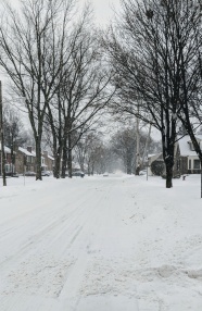 冬季街道雪景图片