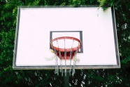 成人标准篮球框图片