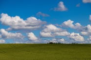 草原蓝天白云景观图片