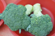 营养西兰花蔬菜图片