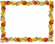 罂粟花边框图片