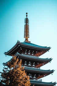 日本清水寺塔尖局部图片