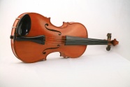 棕色小提琴图片