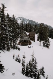 冬季雪地雪屋雪松图片