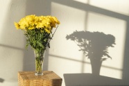 阳光下的一束黄色菊花图片