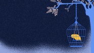 笼中鸟卡通插画背景图片
