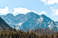 阿尔卑斯雪山树木景观图片