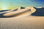 荒芜沙漠沙丘风景图片
