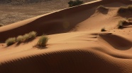 非洲沙漠沙丘图片