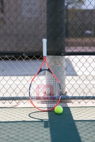 网球拍和网球图片