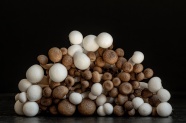 新鲜食用菌菇图片