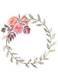 粉色玫瑰花圆框图片