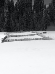 冬季白色雪地图片