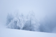 冬季户外漫天大雪图片