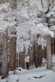 冬季树林雾凇美女风景图片