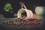 咖啡豆咖啡杯摄影图片