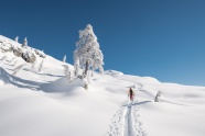 冬季雪地行走的人物背影图片