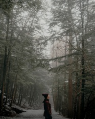 雾气朦胧树林美女风景图片