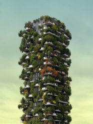 栽满盆栽植物的房屋建筑图片