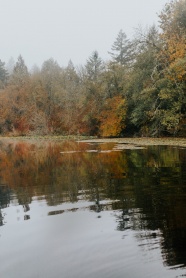 秋季树林湖面图片