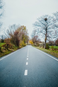 秋天公路风景图片