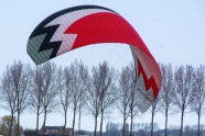树林滑翔伞降落图片