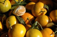 新鲜成熟柑橘图片