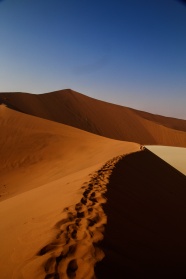 行走在荒芜沙漠图片