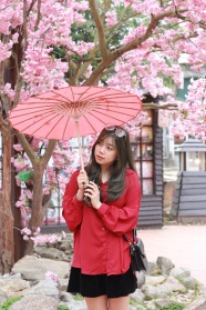 美女樱花树下撑油纸伞图片
