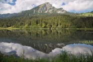 森林树木湖泊风景图片