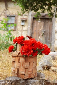 编织篮子上的红色花朵图片