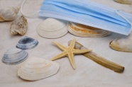 沙滩上海星与贝壳图片