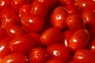 新鲜红色小番茄特写图片