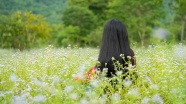 春天花海美女背影图片