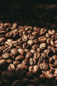 咖啡豆烘干图片