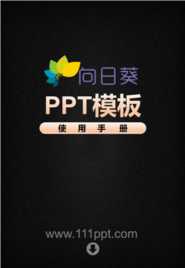 黑红公司介绍商业计划书PPT模板