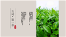 中国风茶叶产品介绍宣传PPT模板
